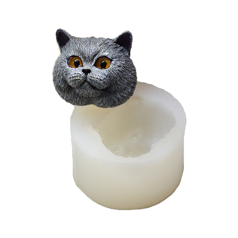 Soap Making Guide - Moule en silicone en forme de