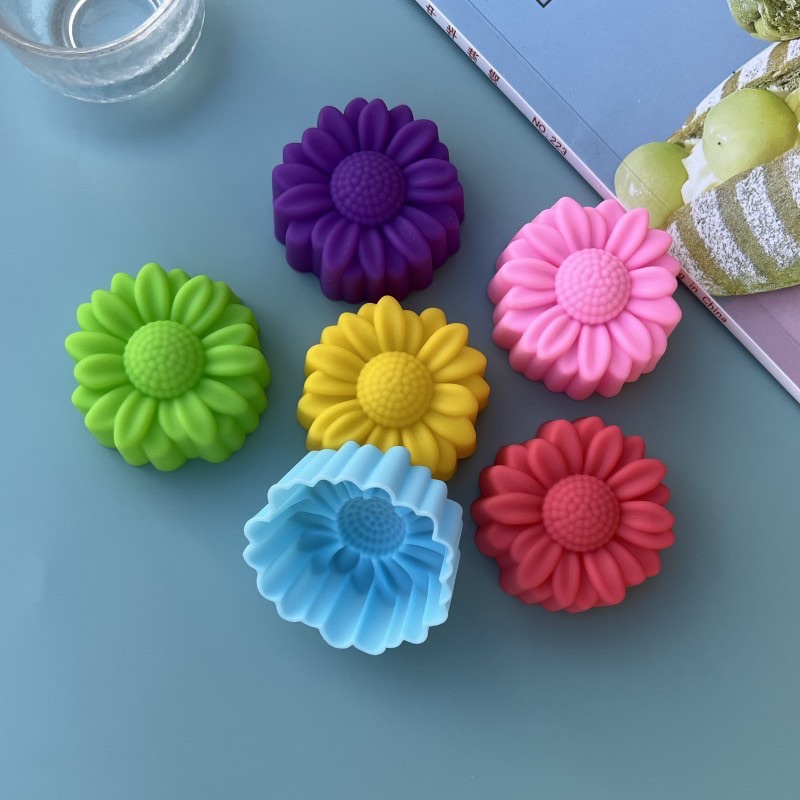 Soap Making Guide - Ensemble de 6 moules en silicone