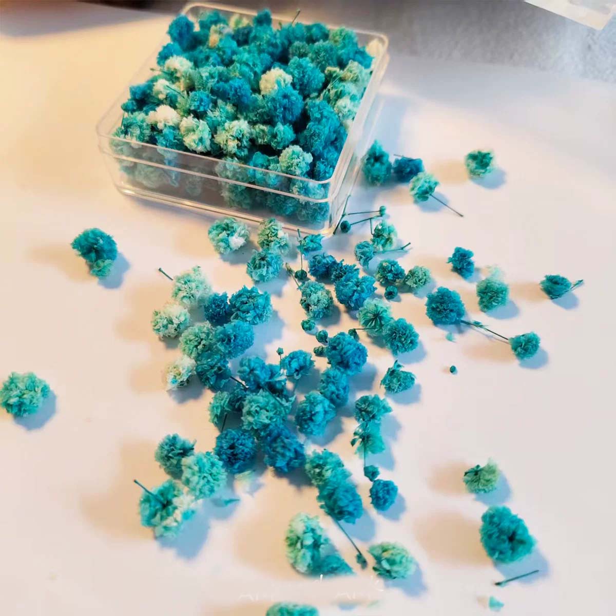 1 Boîte de Têtes de Fleurs pou - Soap Making Books avis et prix