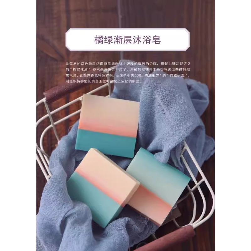 Livre de fabrication de savon  - Soap Making Books avis et prix